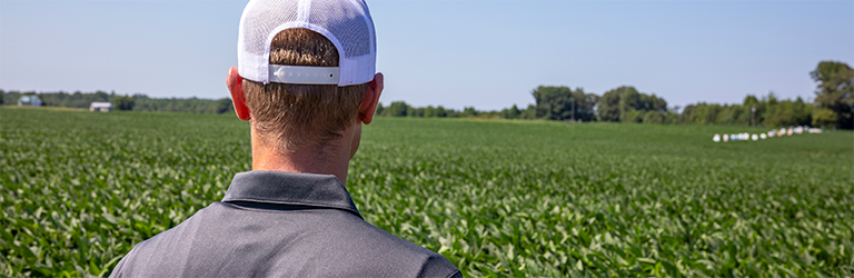 Image of a man in a baseball looking out over his field