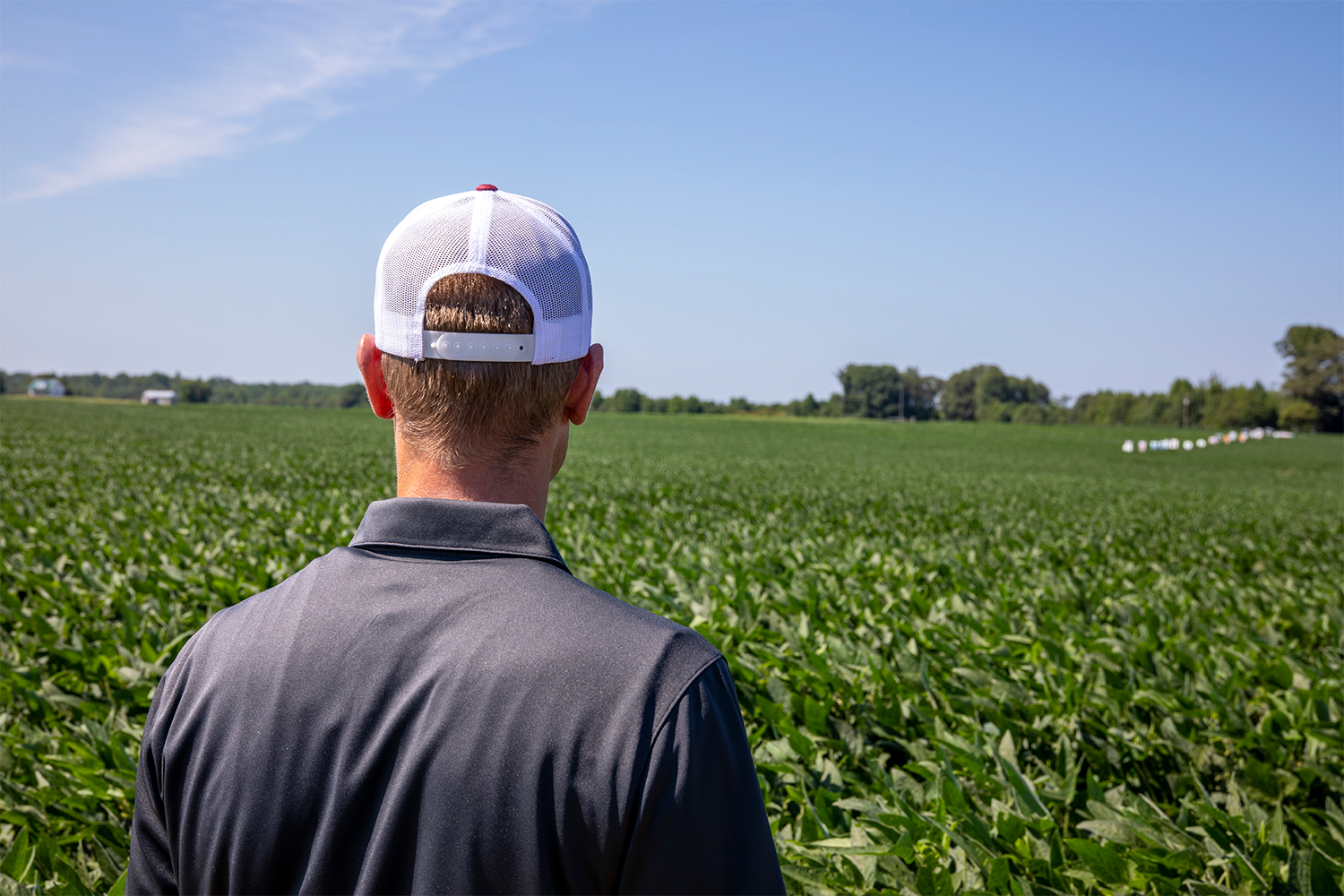 Image of a man in a baseball looking out over his field