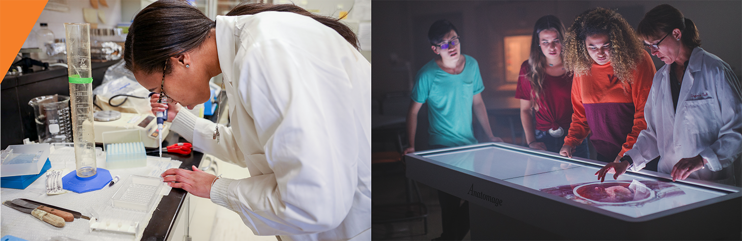 Two images, one of a scientist with a pipette in a lab, one of students and professor surrounding an anatomage table