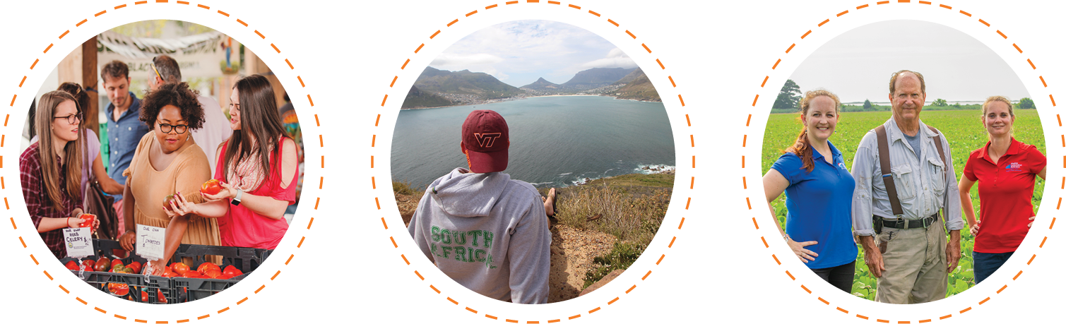 Three images of three students at a farmers market, a student overlooking a vista in South Africa, and two extension agents with a farmer in his field.